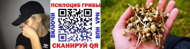Галлюциногенные грибы ЛСД  Билибино 